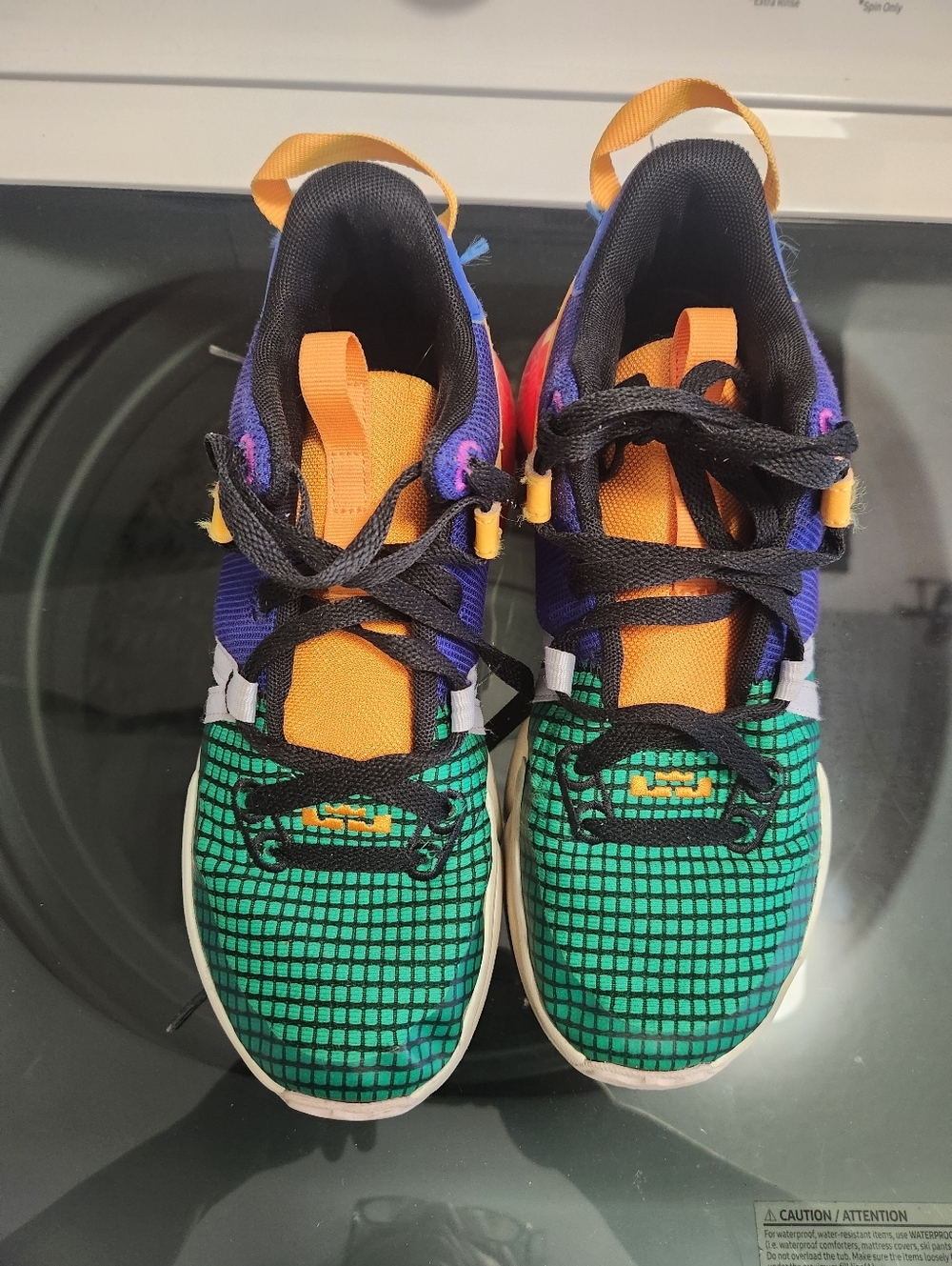 Nike lebron Kids Multicolor Sneakers — Green, Orange, Blue, Purple